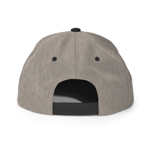 Music Snapback